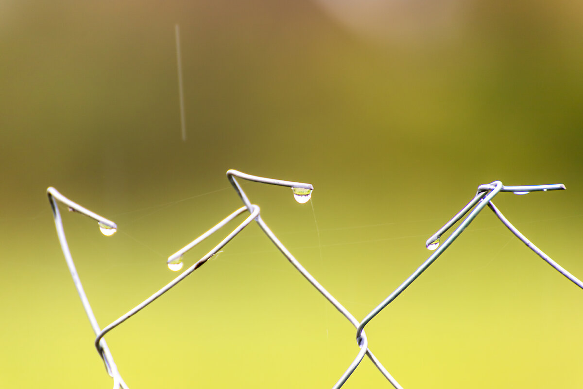 Капли - Александр 