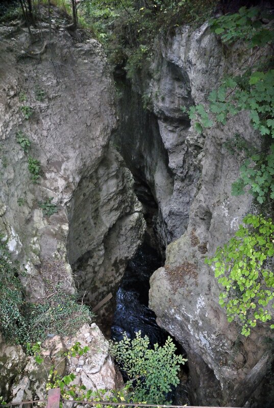 Теснина - это там, где тесно? - Марина Виноградова