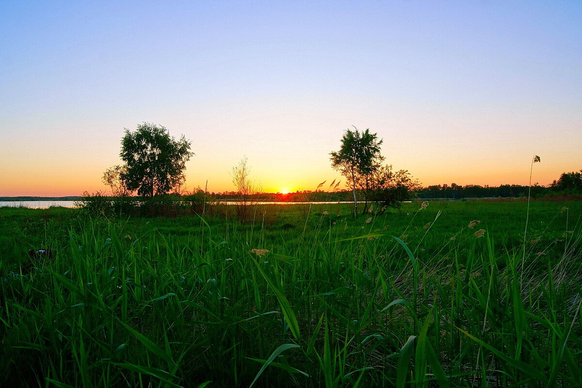 Солнце 11 - Игорь Тельцов