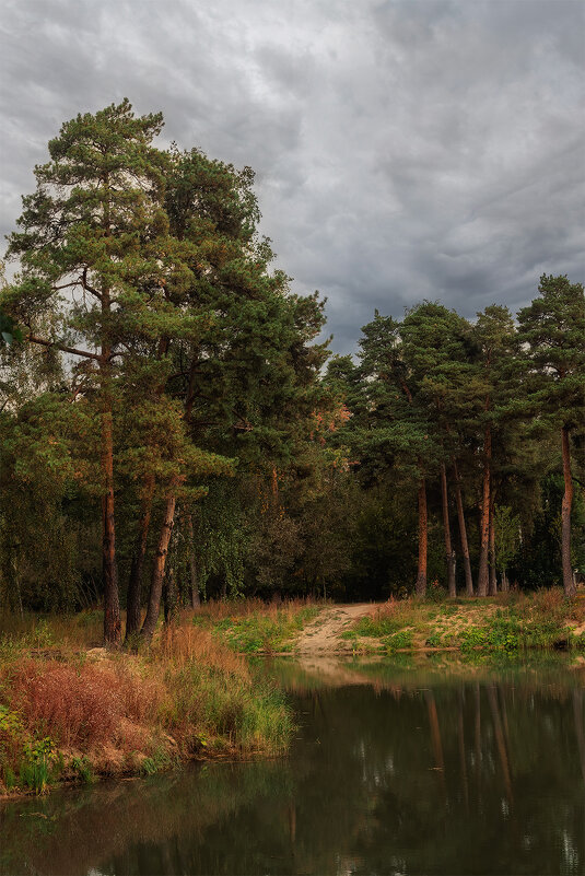 у озера - Michel 