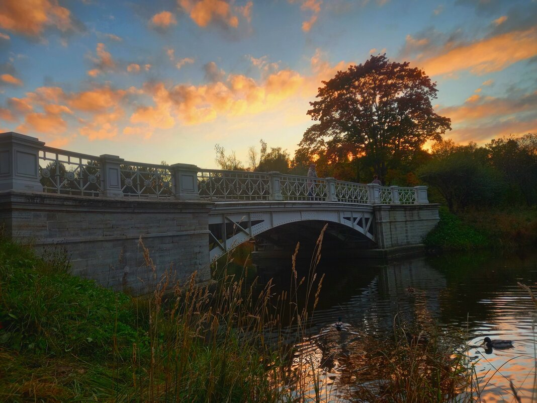 Закат - Сапсан 