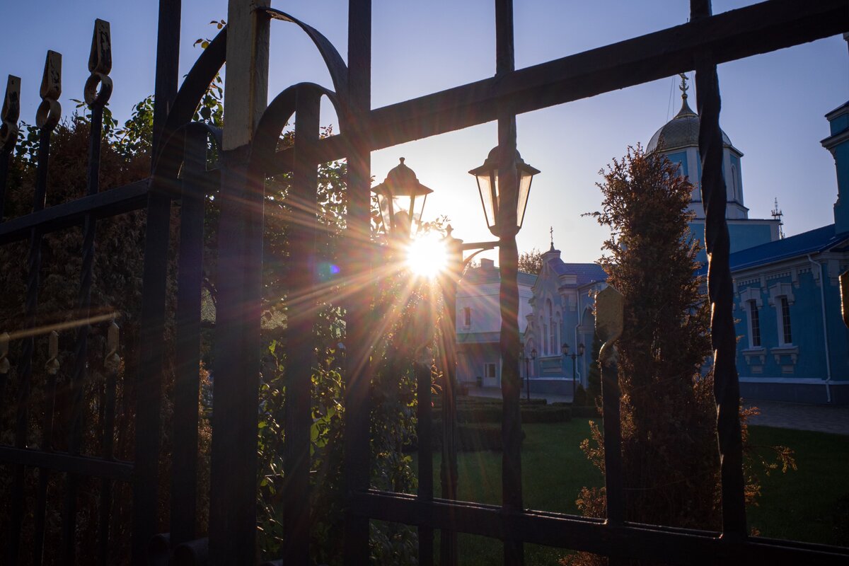 Тихорецкие зарисовки - Наталья Сафронова