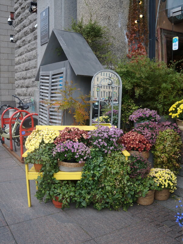 осенние цветы - zavitok *