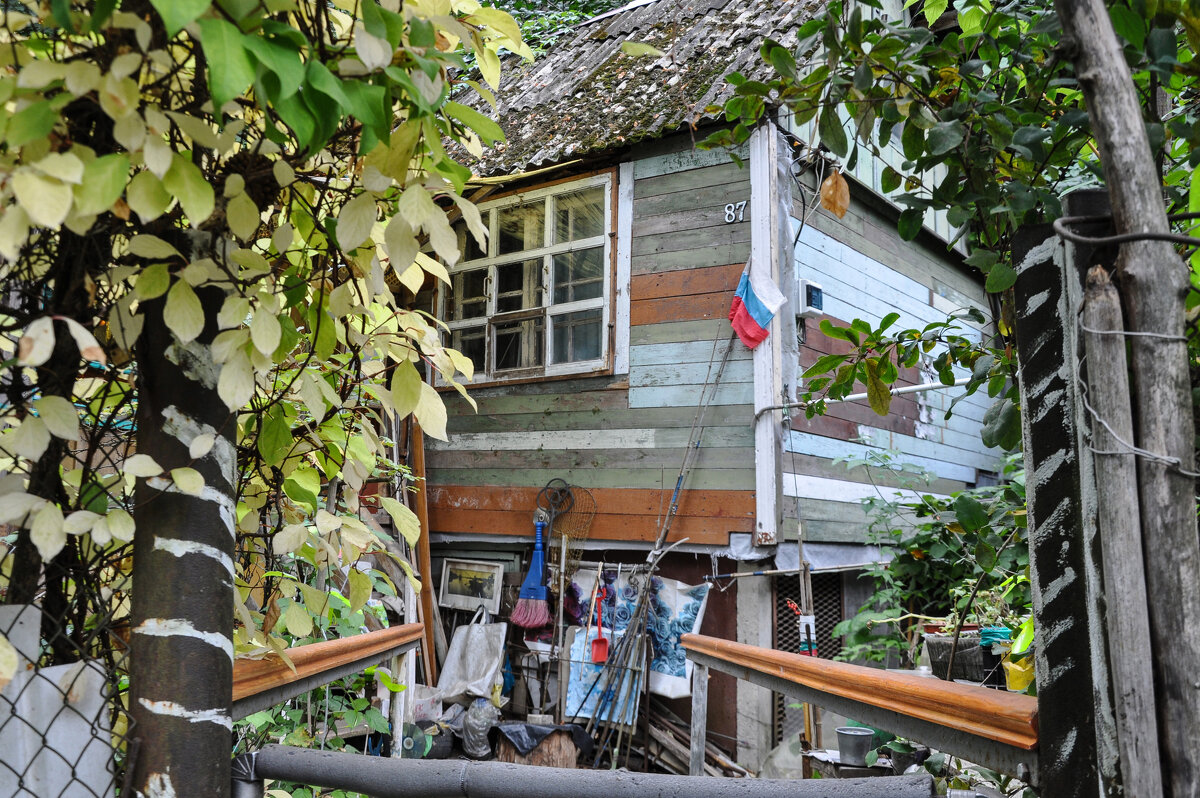 Дачка рыбака - Татьяна Машошина