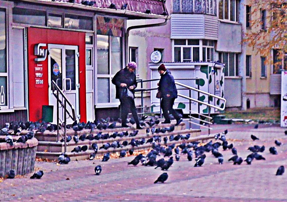 Октябрь...Утро..Голуби у супермаркета! - Владимир 