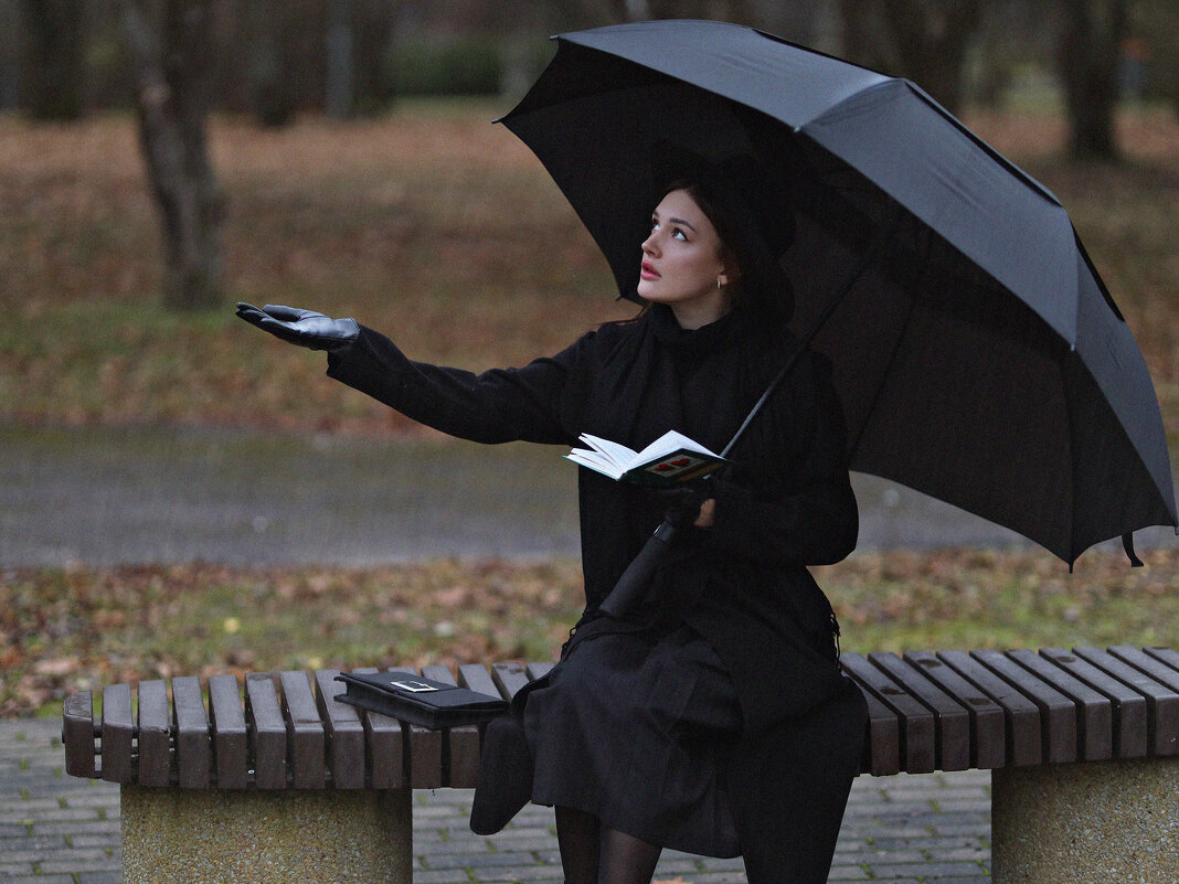 Осень, пасмурно... (1) - Игорь Парв