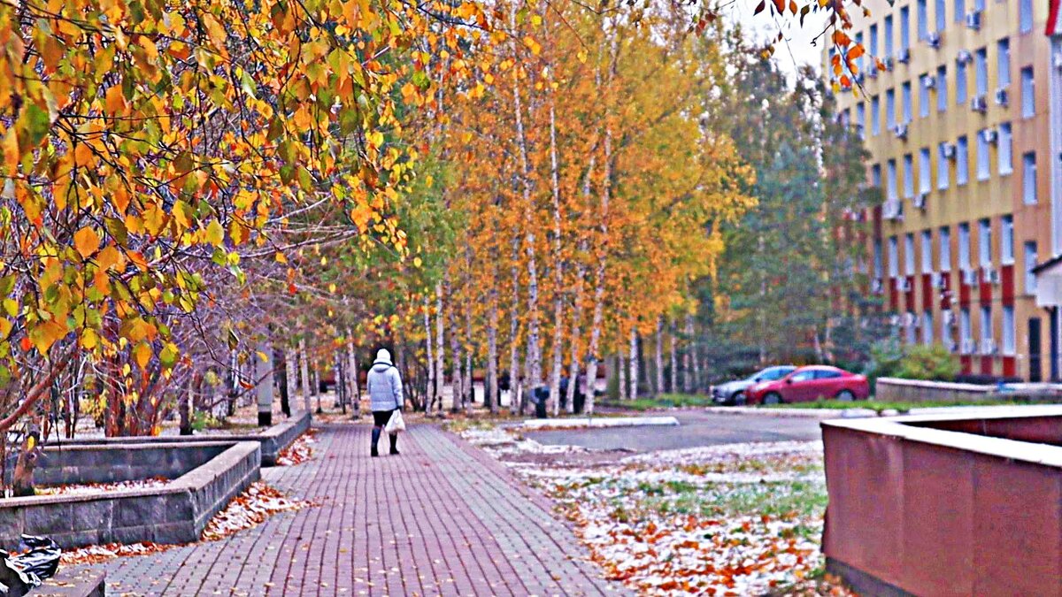 Поздняя  осень в сквере Победы! - Владимир 