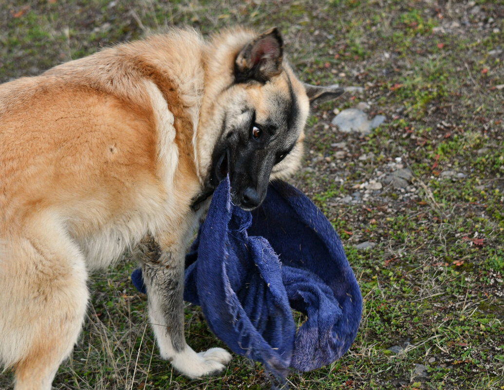 Трепач - Сергей Шаврин