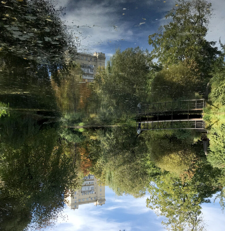 Отражение отражаемого - Лариса Корж