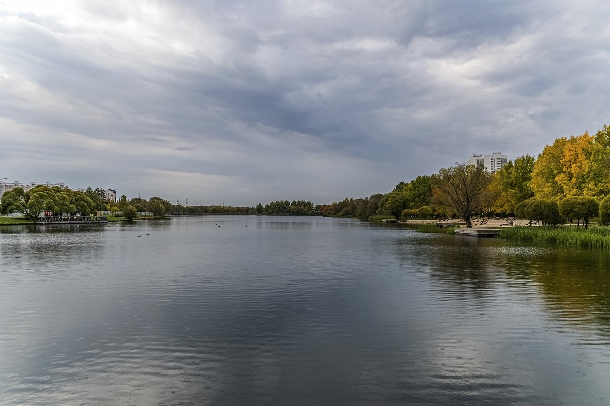 На городском пруду - Валерий Иванович На городском пруду - Валерий Иванович