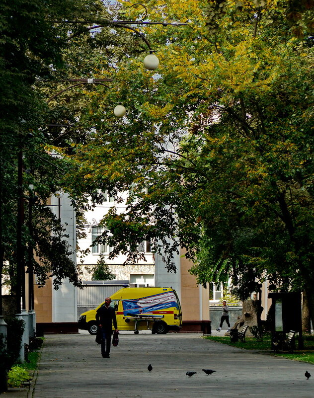 В парке... - Николай Саржанов