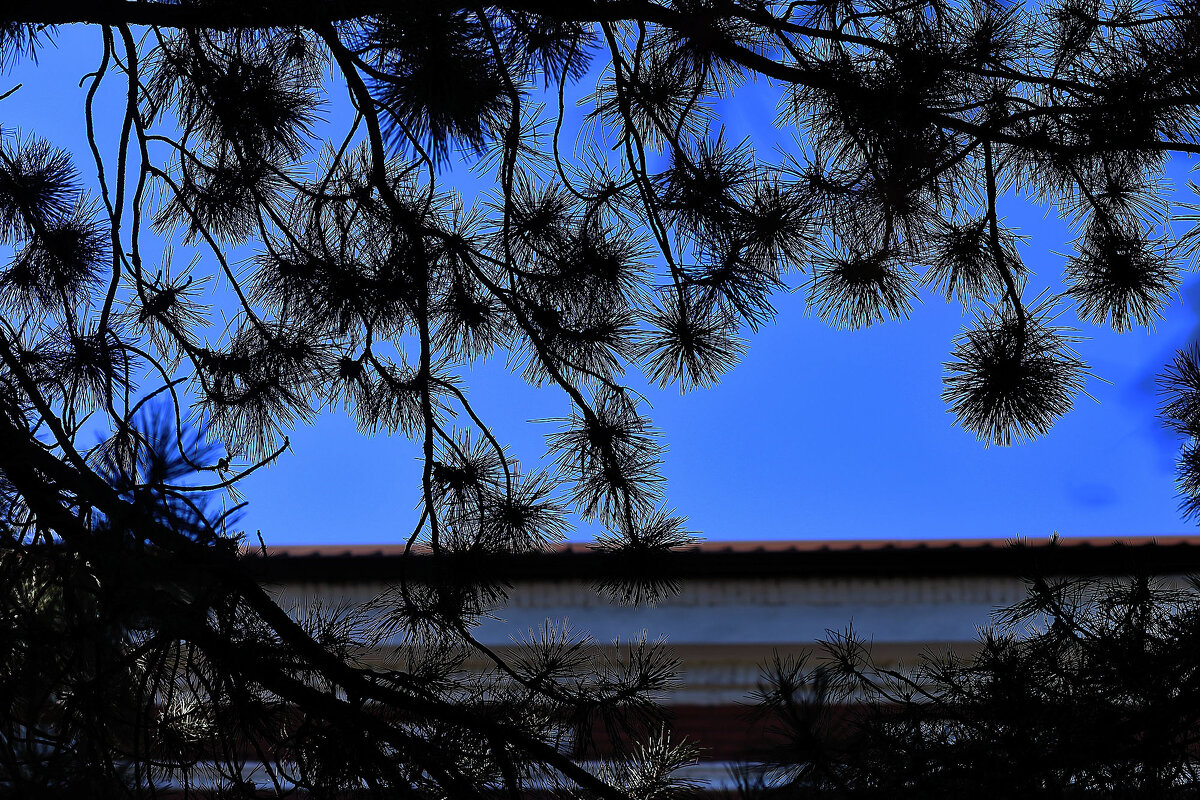 Какое небо голубое! - Юрий Гайворонскiий