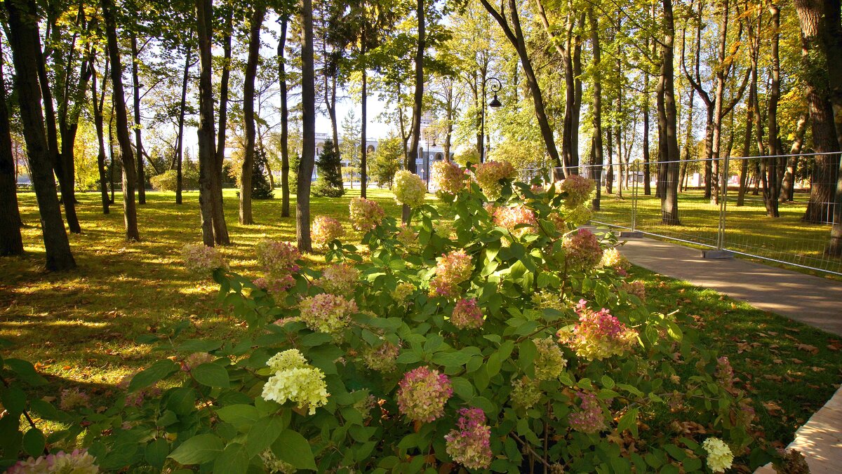 ОСЕНЬ В ПАРКЕ - АЛЕКСАНДР 