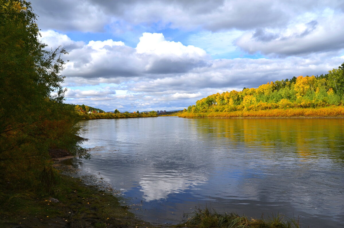 На реке Чите - Мишель71 