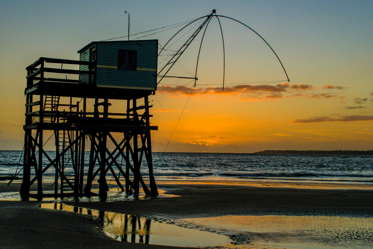 Креветочник на закате - Георгий А
