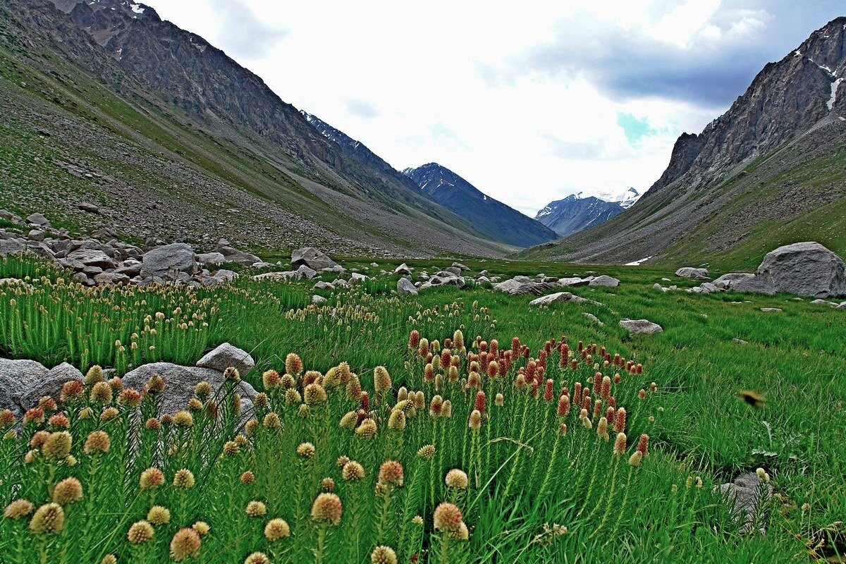 ПРИТОК ОЙГАИНГА. h- 2850м. - Виктор Осипчук