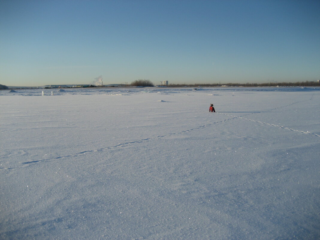 Прогулки - Anna Ivanova
