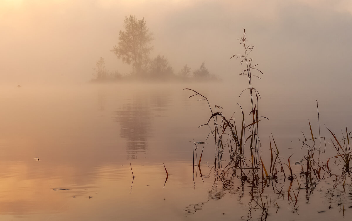 Рассвет - Марина Фомина.