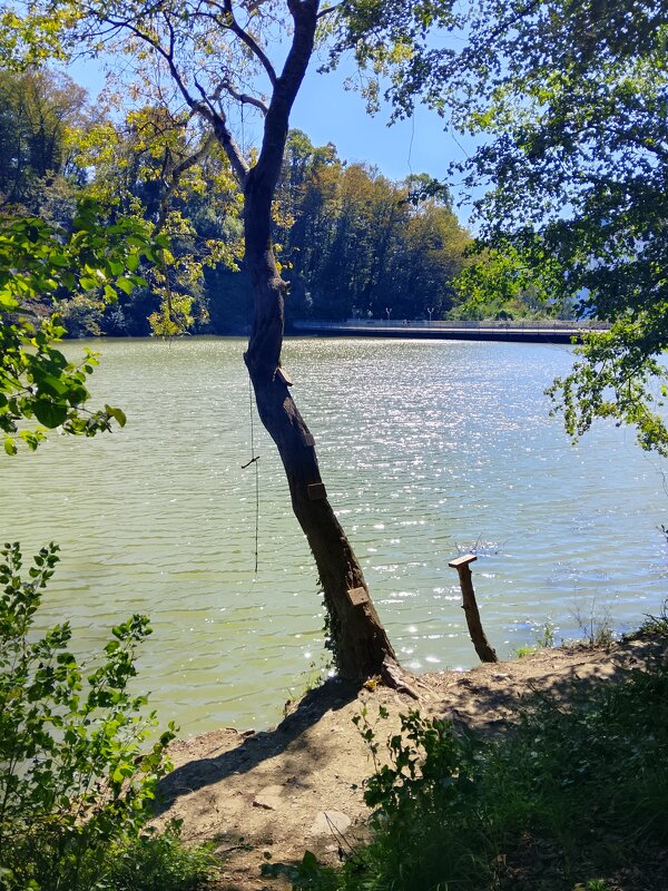 Министерские озёра - Tata Wolf