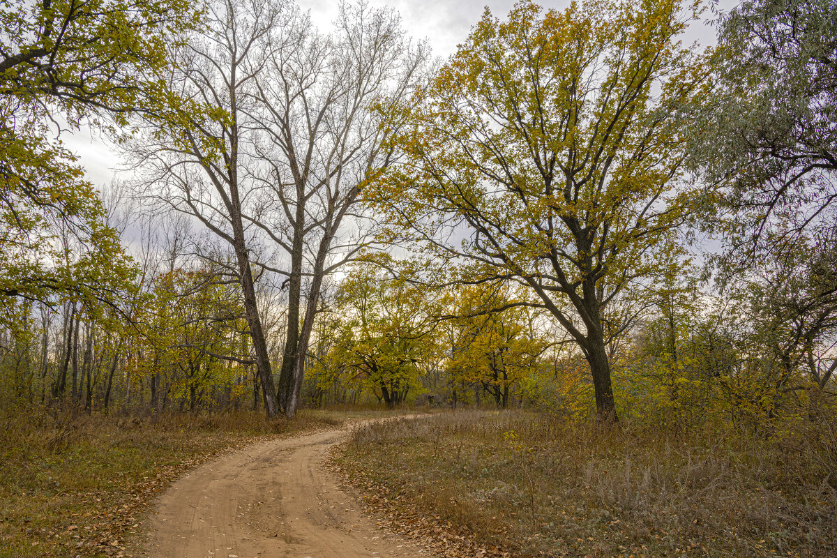 ... - Валерий 