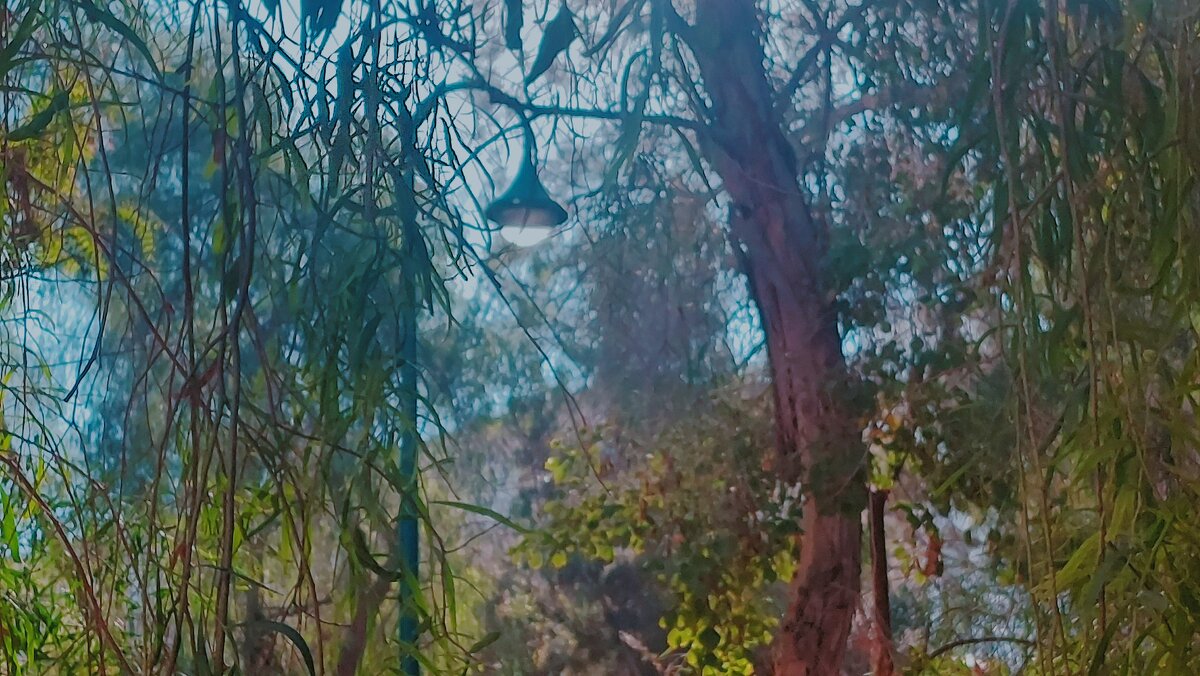 13  ОПЕН (467) - OPEN WAYS ALL