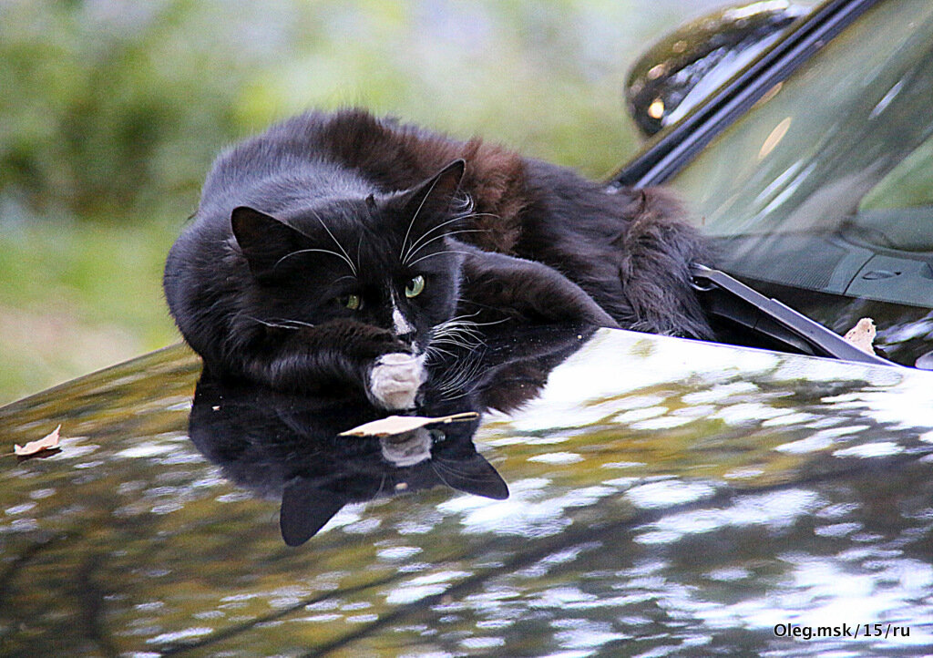 теплое местечко - Олег Лукьянов теплое местечко - Олег Лукьянов