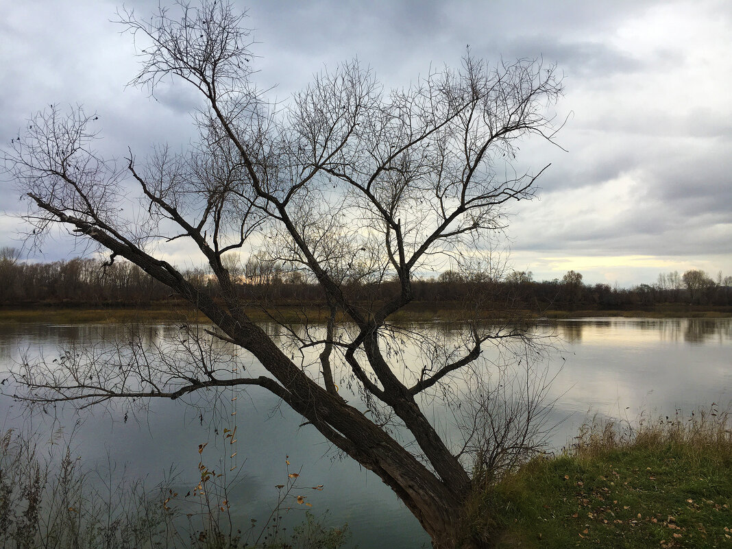 Поздняя осень - Владимир Кириченко