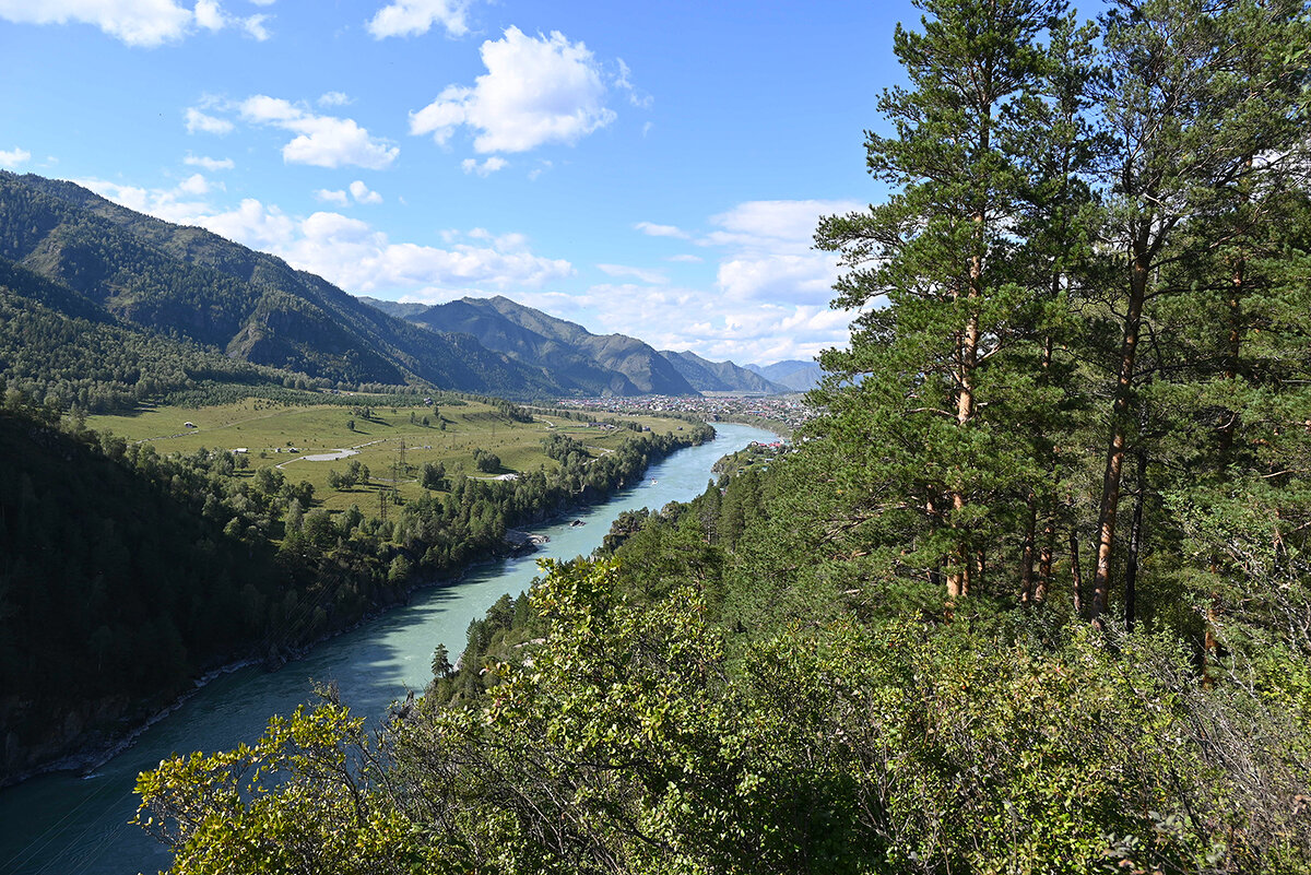 Вид на Чемал - Валерий Медведев