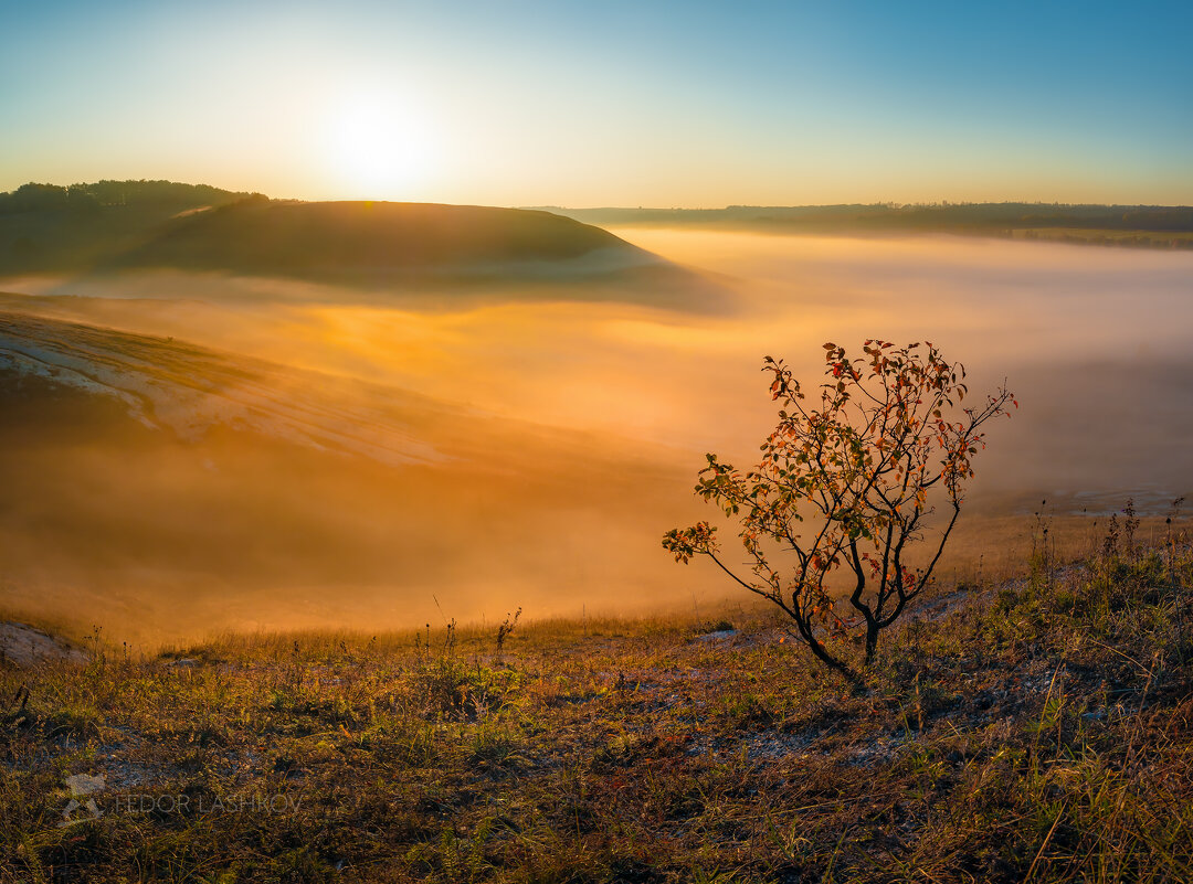 Туманный рассвет - Фёдор. Лашков