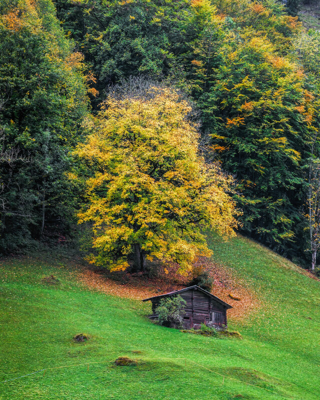 Швейцария - Владимир Колесников