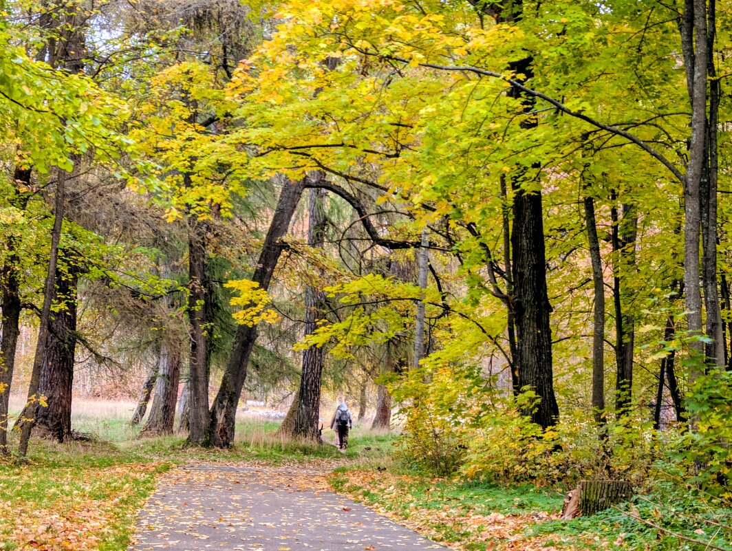 Шереметевский парк - Анастасия Логинова