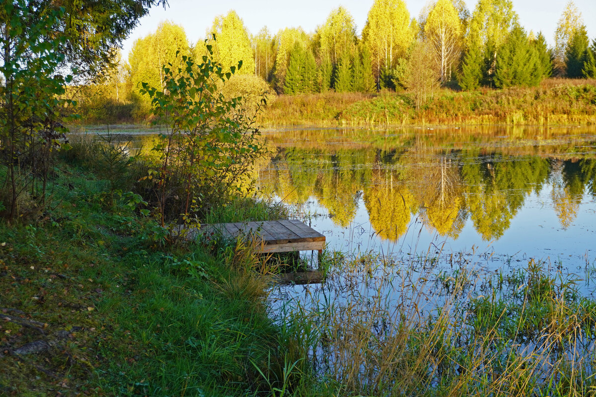 Осень на пруду - Сергей Ц