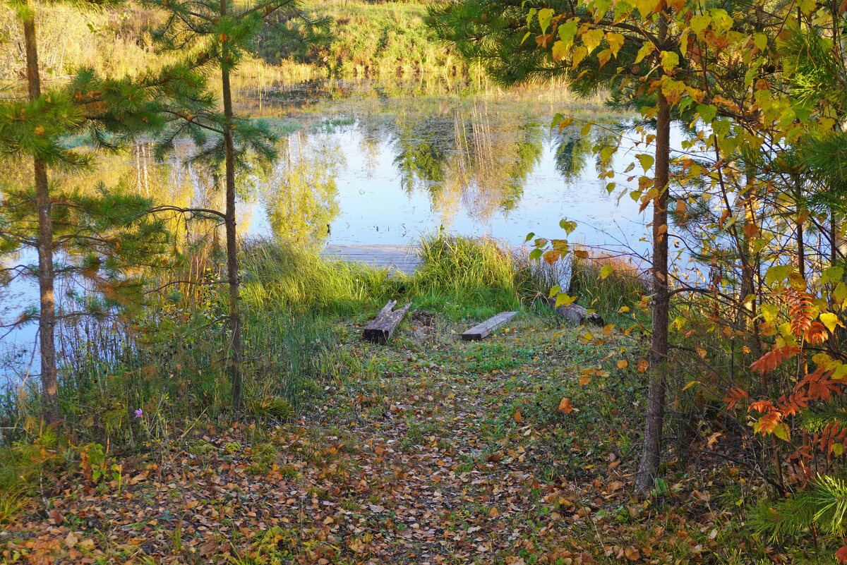 ... - Сергей Ц