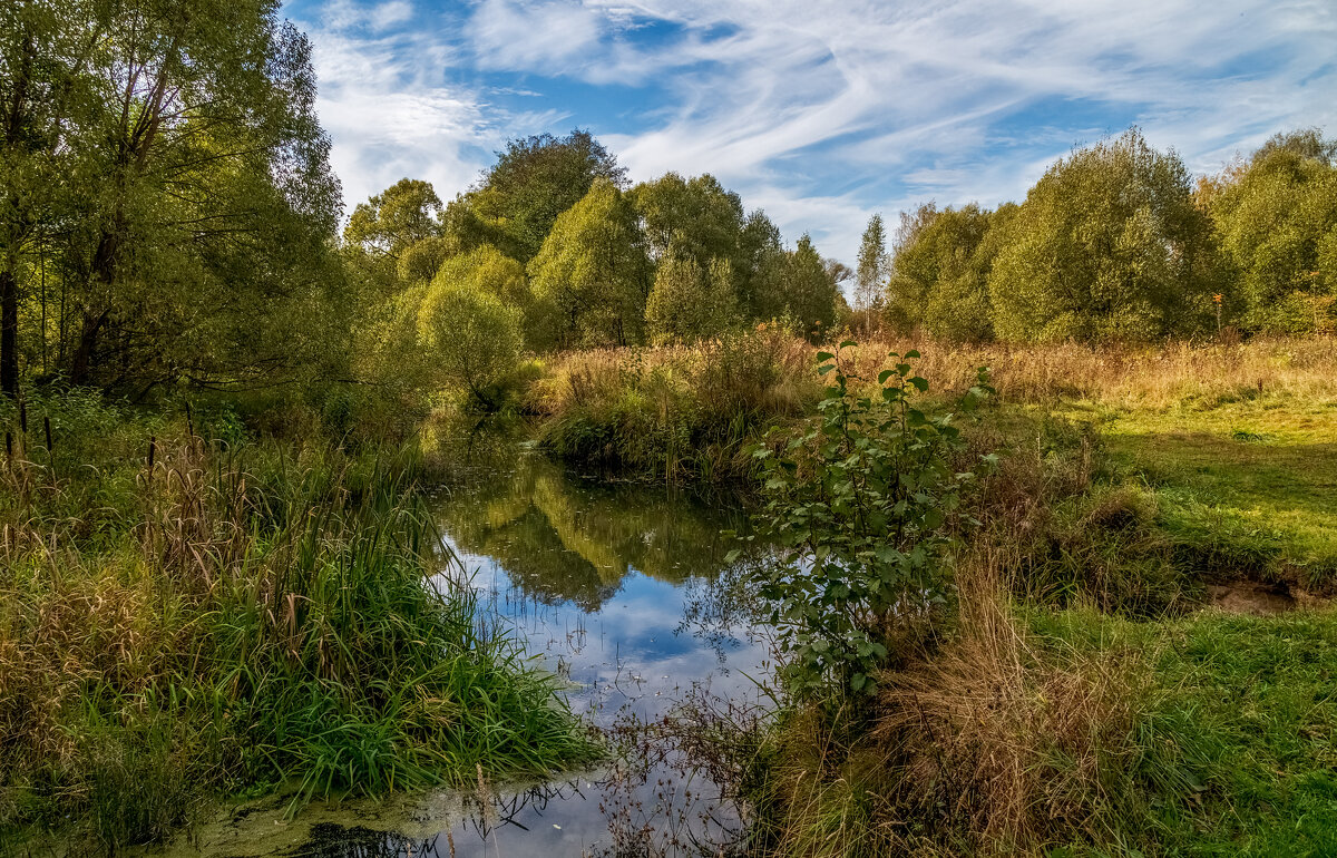 Осень достала краски 3 - Андрей Дворников