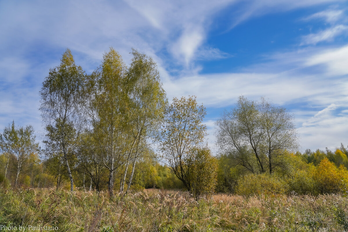 Под небом октября... - Владимир Жданов