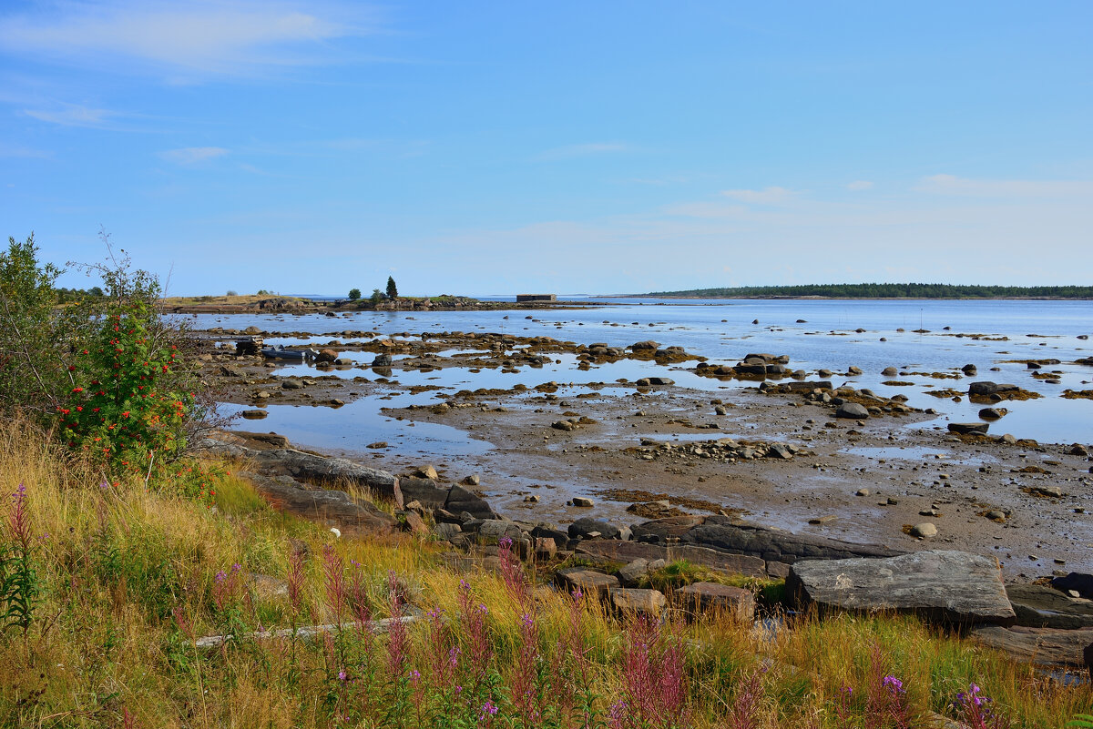 ** - Александр Хаецкий