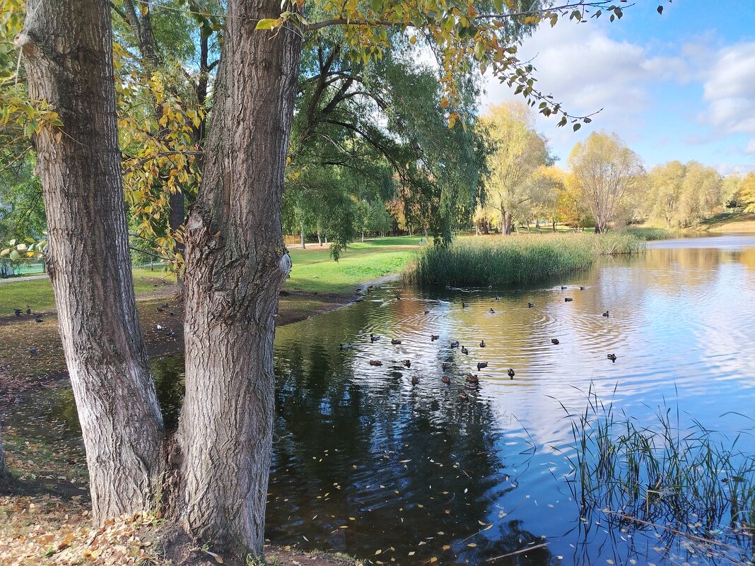 Самара. Воронежские озера - Надежда 