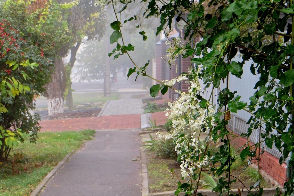 Первый осенний туман - Татьяна Смоляниченко