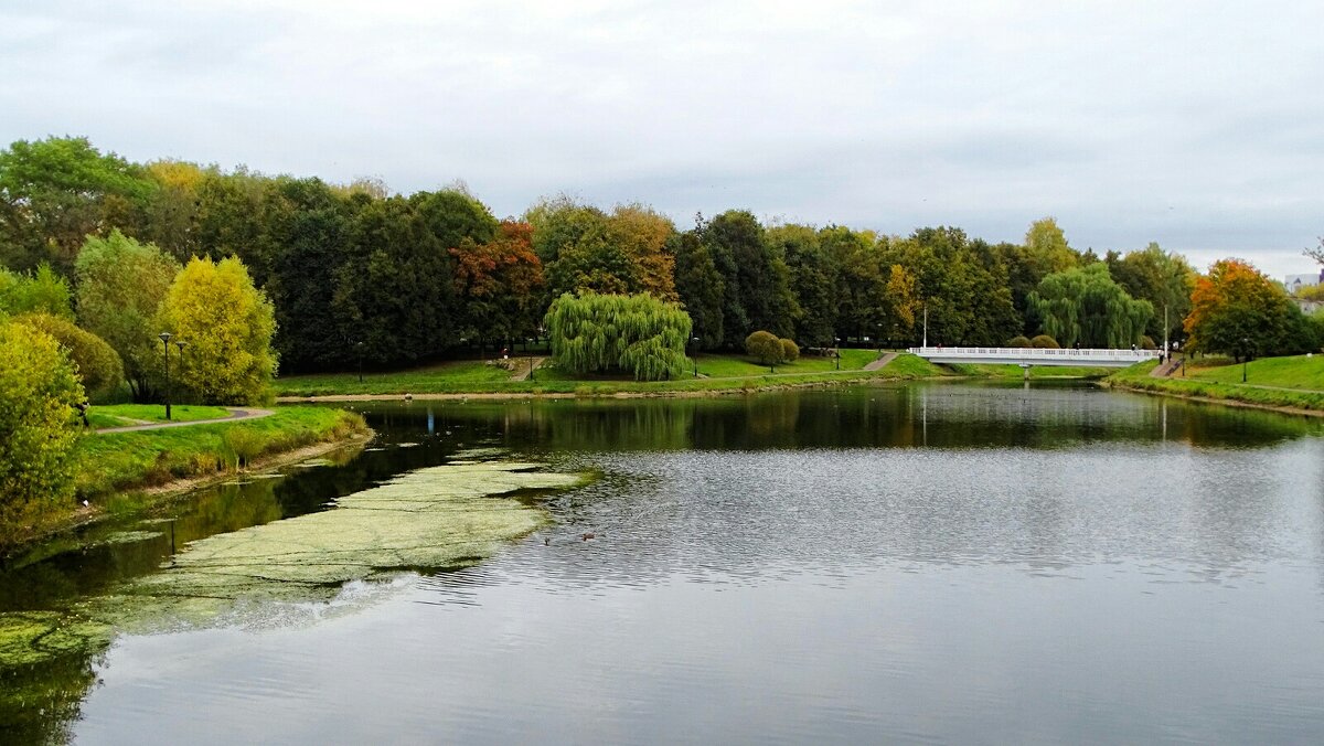 Город в октябре. - Милешкин Владимир Алексеевич 