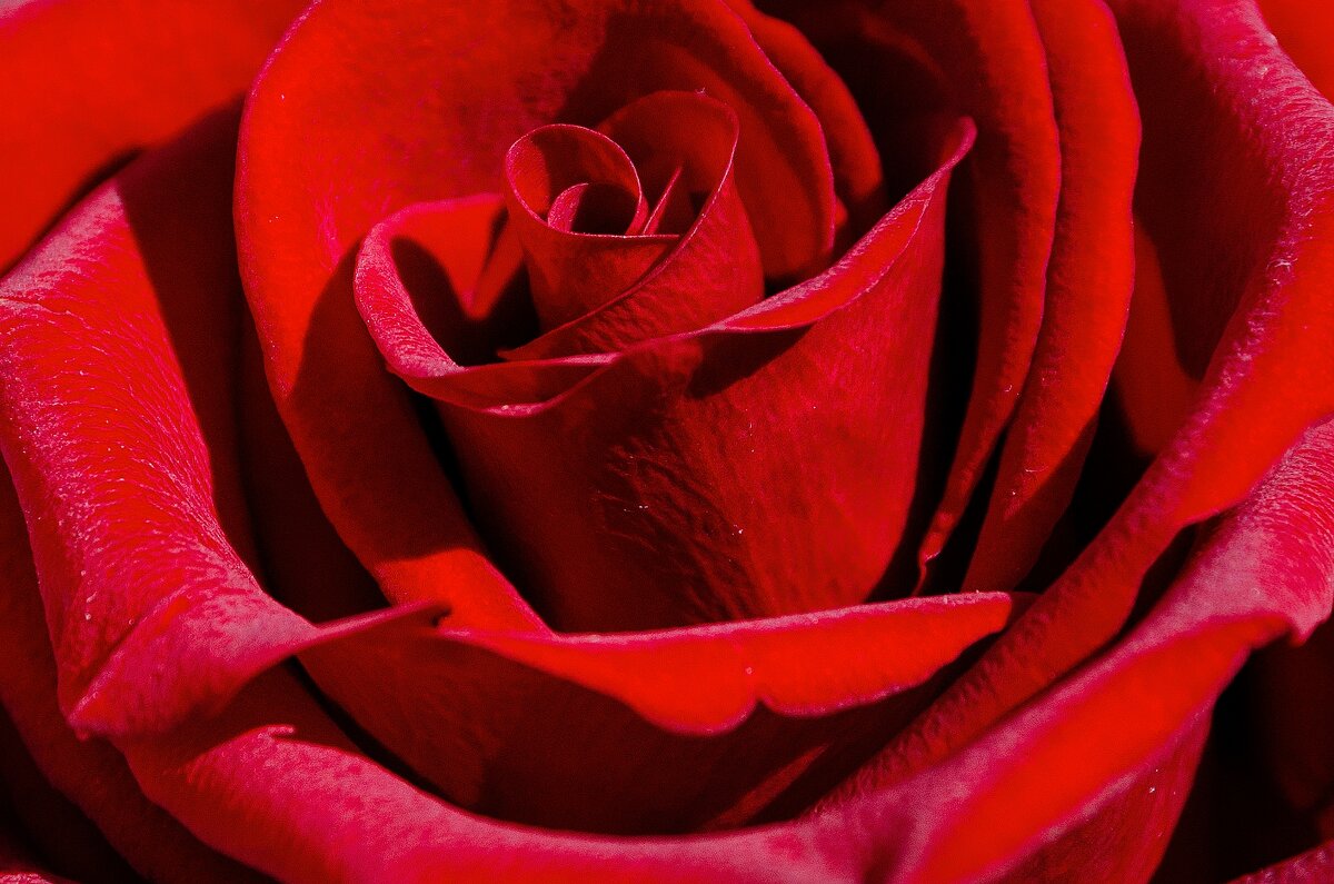 *** - Виктор Иванович Чернюк