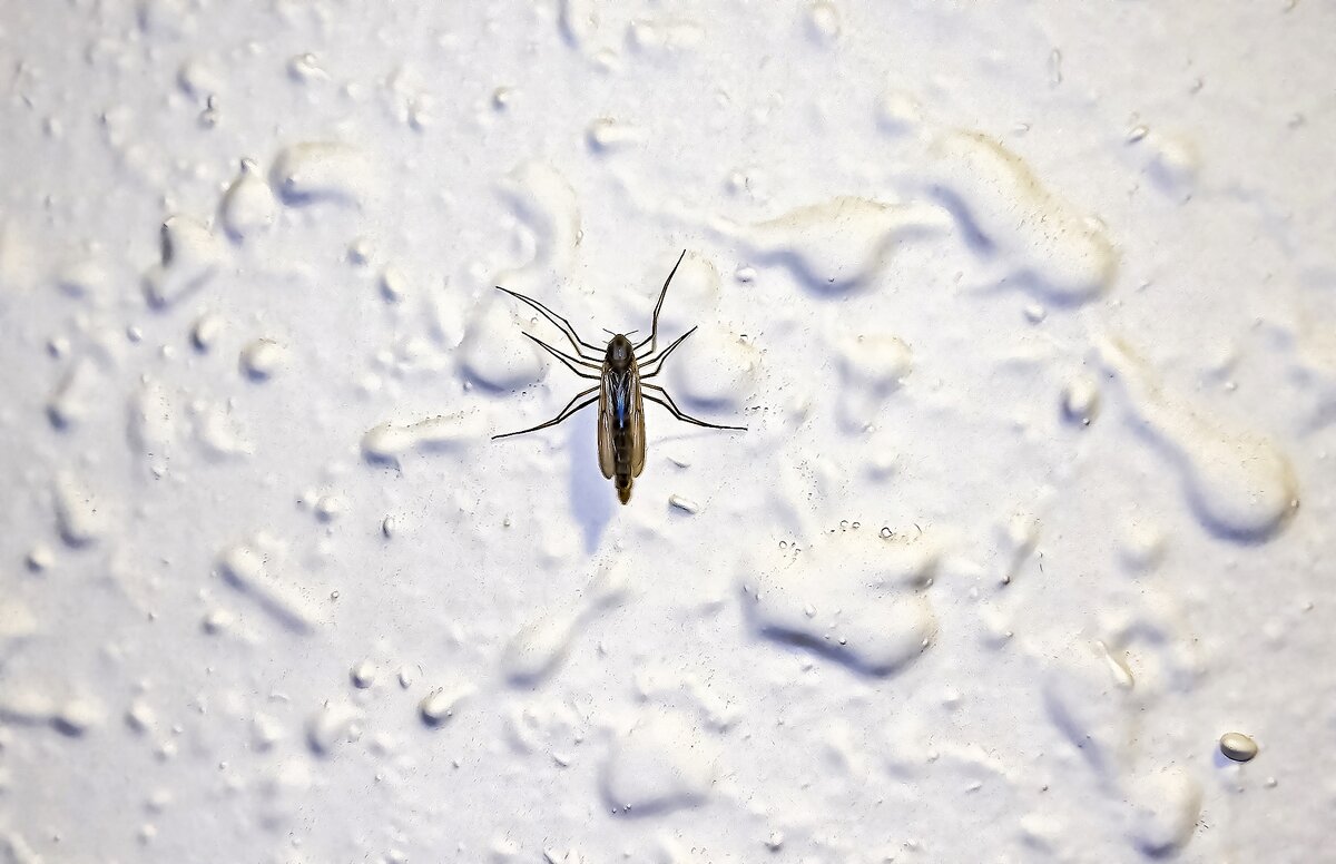 Сосед - Валерий Иванович