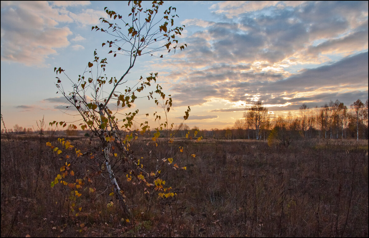 Осень - **** vedin