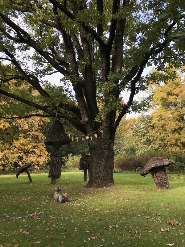 У дубка - Лариса Корж