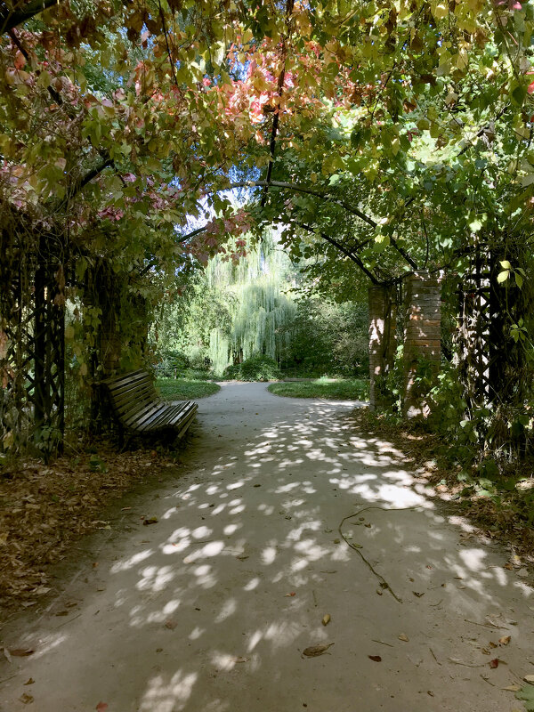 Осенний портал - Лариса Корж