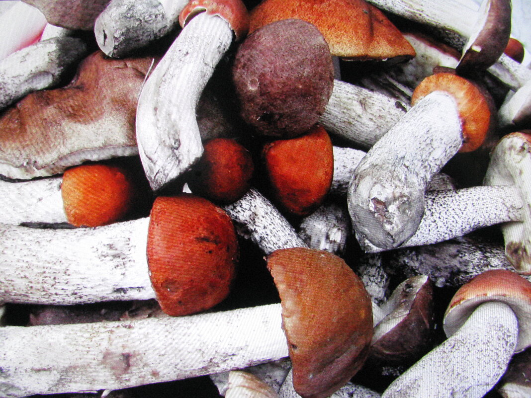 Итог тихой охоты - Людмила Смородинская