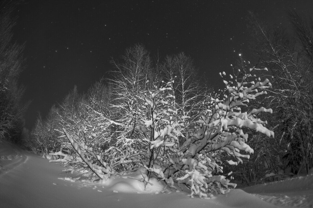 Ночное созерцание - Евгений Виличинский Ночное созерцание - Евгений Виличинский