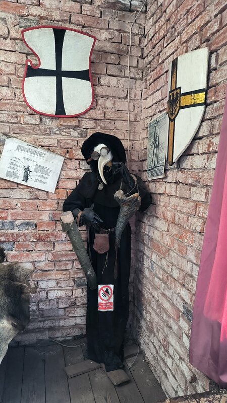 В замке Шаакен. - Ольга 