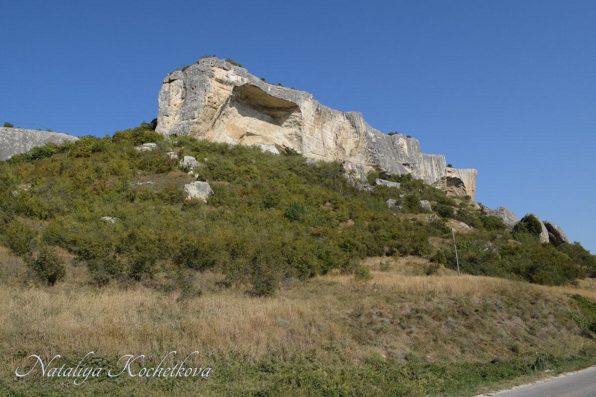 Природа Крыма - Amazing Cosmea