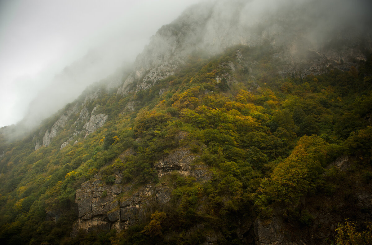 Туман в ущелье - Батик Табуев