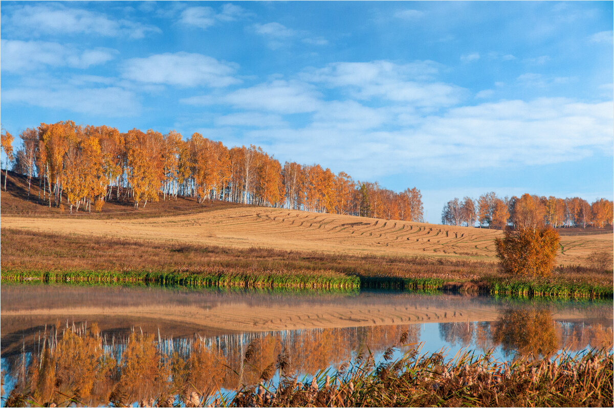 Золотая пора.. - Алексей Мезенцев